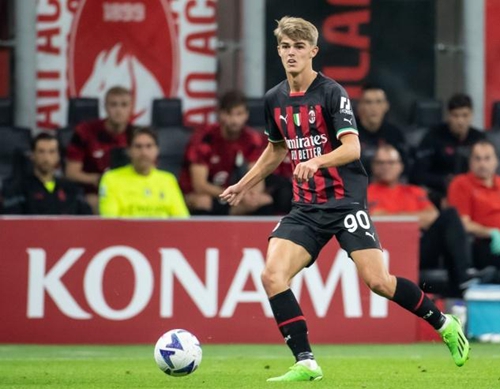 媒体和观众 媒体和观众